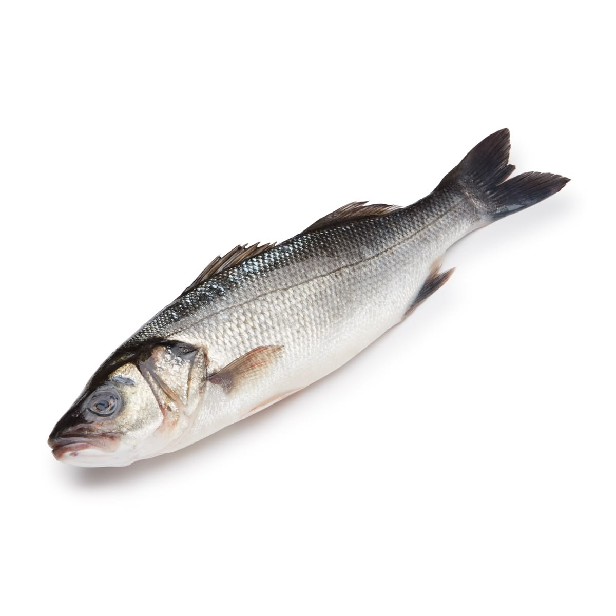Branzino